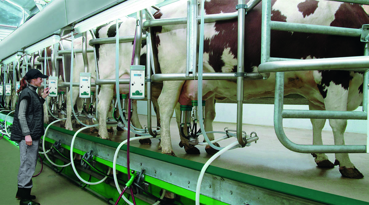 Circuito productivo de la leche: todo lo que necesitas saber