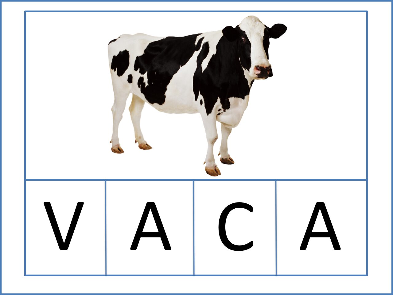 Crea tu propio juego de bingo con el abecedario en 5 sencillos pasos Crea tu propio juego de bingo con el abecedario en 5 sencillos pasos