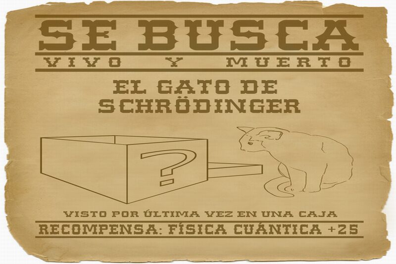 Descubre el nombre del gato de Schrödinger en este artículo