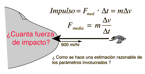 Cómo medir la fuerza: técnicas y consejos Cómo medir la fuerza: técnicas y consejos