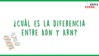 Cuadro comparativo ADN vs ARN: diferencias y similitudes