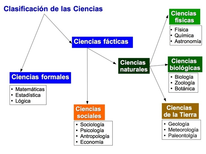 cuales son las ciencias de la cultura