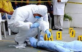 Descubre Cuánto Tiempo Durará Tu Carrera en Criminalística Descubre Cuánto Tiempo Durará Tu Carrera en Criminalística