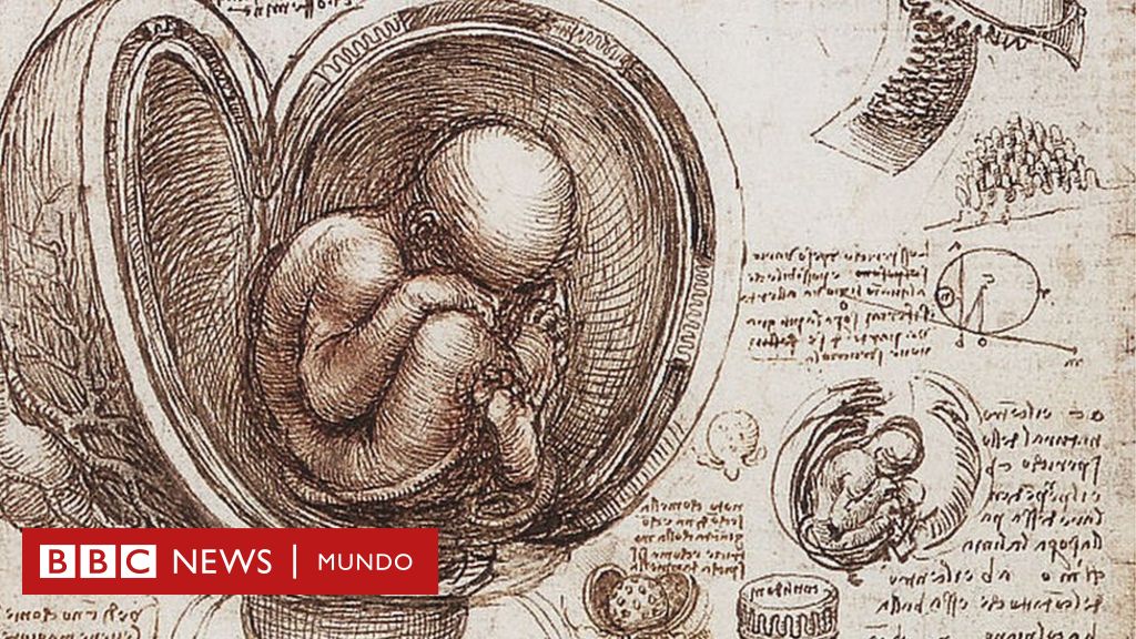 Duración de la teoría de los cuatro elementos: ¿Cuánto tiempo duró? Duración de la teoría de los cuatro elementos: ¿Cuánto tiempo duró?