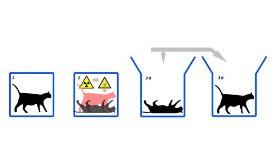 Descubre qué demostró Schrödinger en su famoso experimento