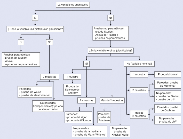 Estudiar para ser podólogo: requisitos y formación