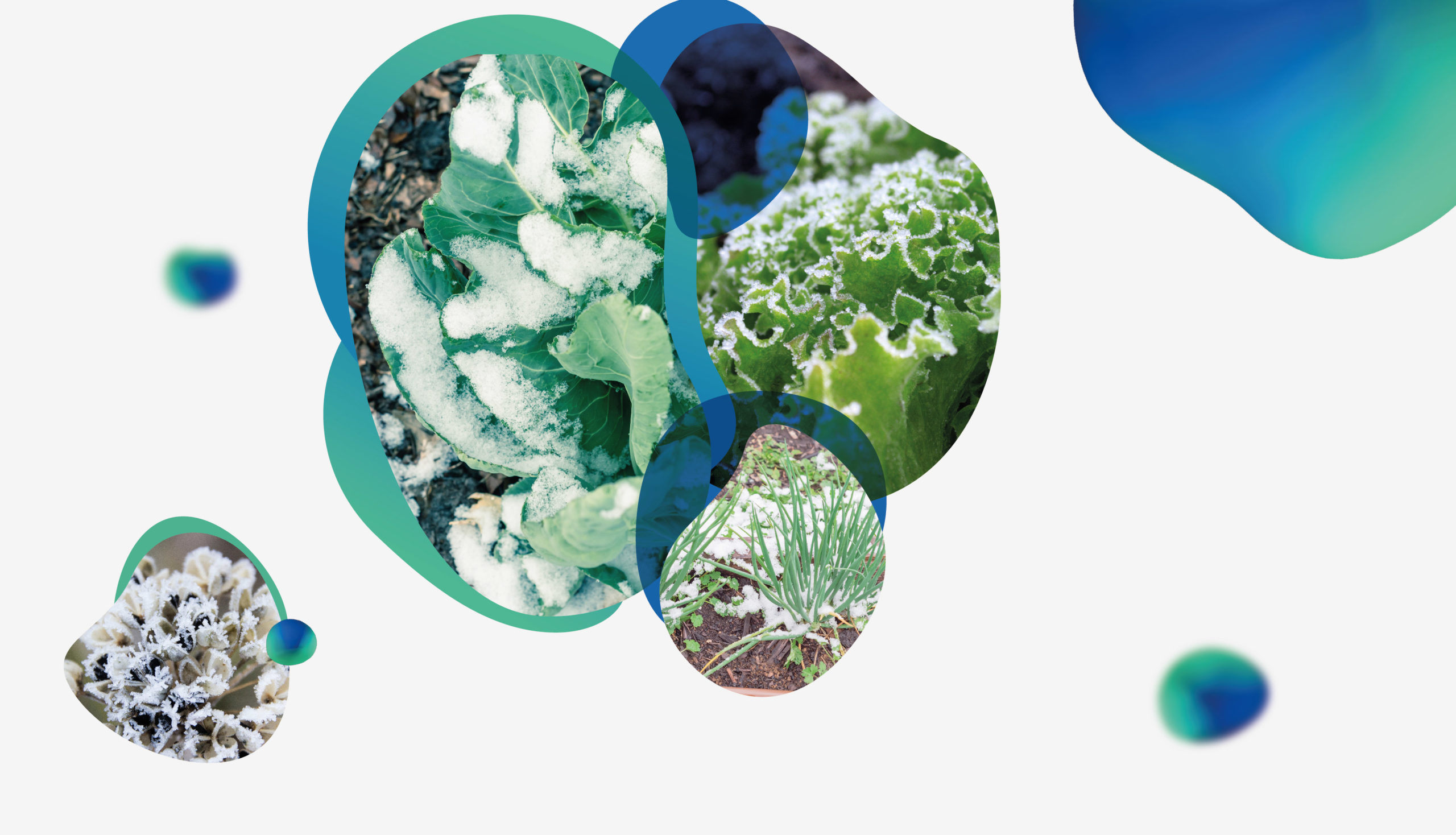 Factores que afectan la productividad: Cómo evitarlos Factores que afectan la productividad: Cómo evitarlos