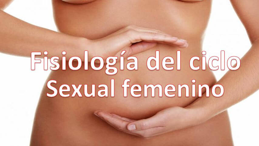 Fisiología femenina: todo sobre el aparato reproductor Fisiología femenina: todo sobre el aparato reproductor