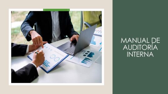 Funciones del Auditor Interno: Guía Completa