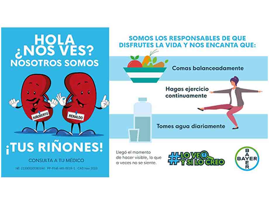 Grado de minusvalía por un riñón faltante: ¿Cómo afecta tu vida?