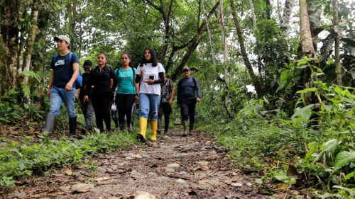 Rol y Funciones del Ingeniero Forestal Rol y Funciones del Ingeniero Forestal