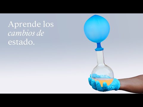 La ciencia de la materia: todo lo que debes saber