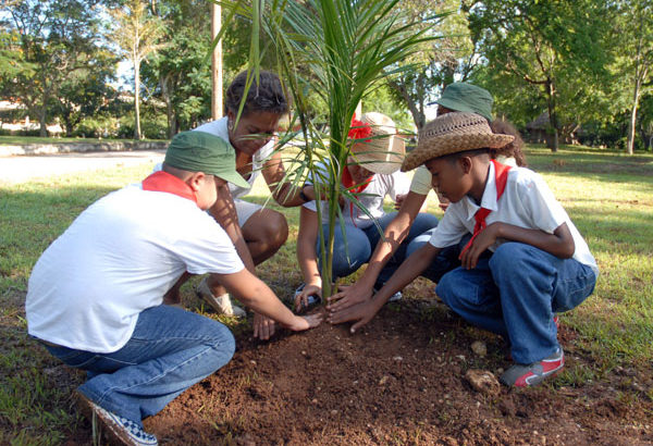 La importancia de proteger el medio ambiente en Cuba La importancia de proteger el medio ambiente en Cuba