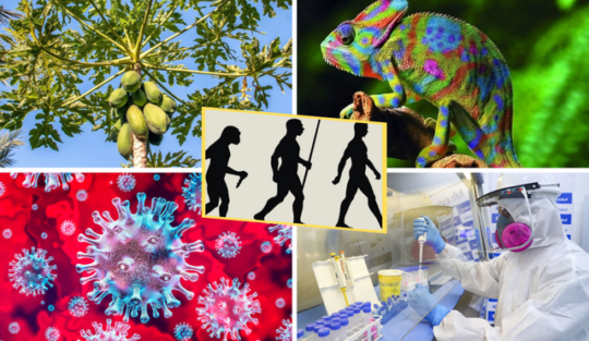 La relación entre biología y ciencia: ¿Qué debes saber?
