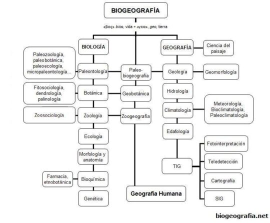 La relación entre Biología y Geografía: ¿Cómo se complementan?