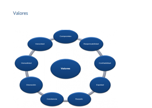 Manual de funciones de asesor financiero: Guía completa