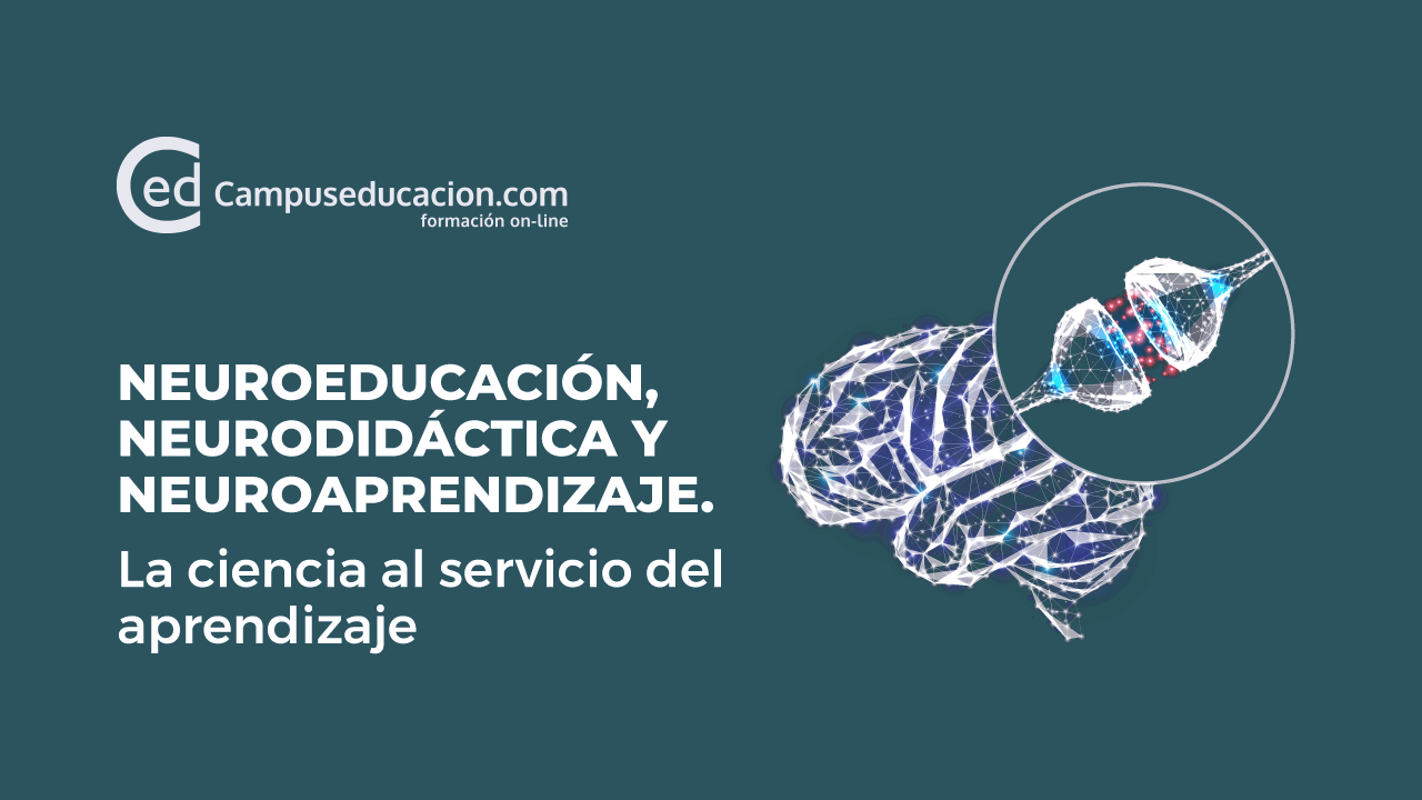 Pedagogía vs. Docencia: ¿Cuál es la clave para una educación efectiva? Pedagogía vs. Docencia: ¿Cuál es la clave para una educación efectiva?